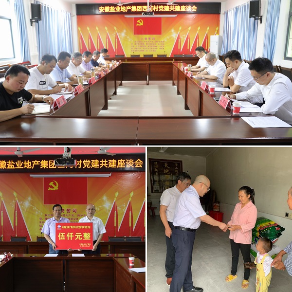 安徽腾博汇游戏官网地产集团党委赴西河村开展结对共建帮扶慰问活动