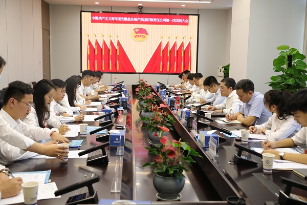 青春向党传薪火 踔厉高昂新时代——安徽腾博汇游戏官网地产集团团支部建设大会暨团员大会胜利召开